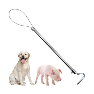 Instrument vétérinaire de poteau de capture de porc robuste pour capturer les chiens et la faune tous les types de pièges disponibles - Product Image 1