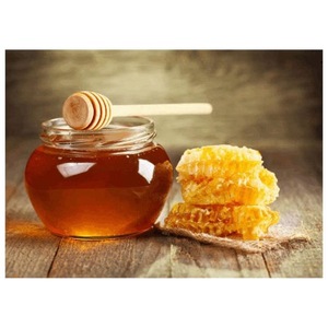 Miel de trigo sarraceno orgánico de la mejor calidad 100% Natural crudo y puro a granel precios al por mayor - Product Image 1