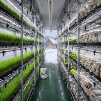 Système de ferme hydroponique intelligente commerciale en conteneur, automatisé pour la culture verticale de légumes, grande capacité, en acier inoxydable 304