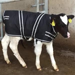 Vêtements pour veaux imperméables et coupe-vent pour l'élevage NVC C-100, couvre-veaux chauds, vêtements thermiques - Product Image 1