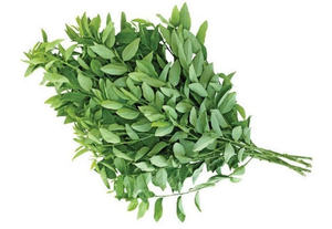 OFFRE EN VRAC FOURNISSEUR DE FEUILLES SUCRÉES VENTE EN GROS PREMIUM NATUREL BIO THÉ HERBES EXPORTATION TOP VENTES FOURNITURE USINE - Product Image 5