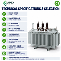 Transformateur de distribution immergé dans l'huile à haute efficacité APEX S22-M 315-1600 kVA 20 kV/400-415 V avec réservoir corrugué scellé IEC 60076