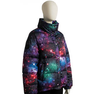 Manteaux courts d'hiver personnalisés ultra-légers pour hommes Veste en toile à capuche brodée en chenille rembourrée à bulles Duck Goose avant - Product Image 4