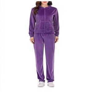 Conjunto de Chándal de Dos Piezas de Terciopelo para Mujer, con Logotipo Bordado con Pedrería Personalizado, Color Gris, Sudadera con Capucha y Pantalones - Product Image 1