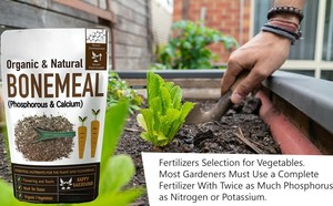 Tuyệt vời Phân bón hữu cơ xương bữa ăn để cung cấp các nhà máy của bạn với quan trọng chất dinh dưỡng tốt nhất xuất khẩu và nhà sản xuất tại Ấn Độ - Product Image 4