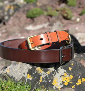 Colliers de chien, bride en cuir cousue à la main Collier de chien en cuir pour lévrier et Whippet - Product Image 2