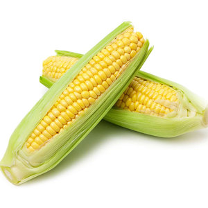 Maíz amarillo canadiense de grado superior, granos de maíz dulce frescos y secos a granel, bolsas de 50kg, alimentación animal orgánica sin OGM, altamente nutritiva - Product Image 2