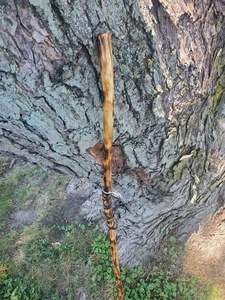 Bastón para caminar asistido Bastón cómodo para personas mayores e individuos Movilidad limitada con cómodas asas fuertes - Product Image 4