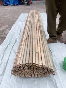 โรงงานเวียดนามจำหน่ายเสาไม้ไผ่ธรรมชาติสำหรับงานเกษตรและการก่อสร้าง - Product Image 6