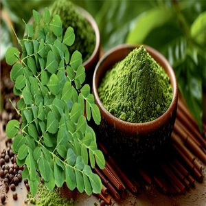 Polvo de Moringa 100% Puro Orgánico Soluble en Agua, Extracto de Hoja de Moringa Puro Natural Orgánico, Extracto Puro de Hoja de Moringa - Product Image 1