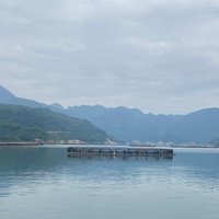 Vente chaude Grandes Cages De Pêche Pisciculture Flottant Ferme Aquaculture Piège Équipement Agricole Du Vietnam Fabricant