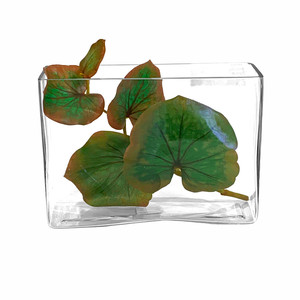 VBV3107 - Vase rectangulaire en verre - 3 x 10 x 7 - Product Image 3