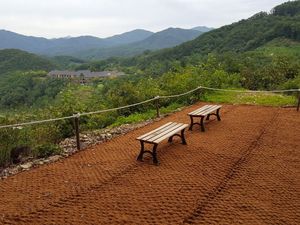 Jaring tali putar serat kelapa fleksibel ramah lingkungan tikar Coir Korea Diameter kustom Harga terbaik grosir populer Vietnam - Product Image 3