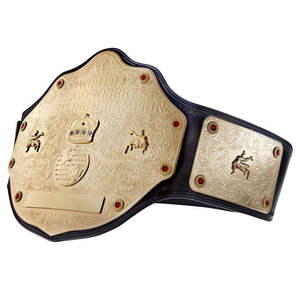 2025 cinturón de campeonato de lucha universal de peso pesado hecho a medida de alta calidad tamaño adulto OEM equipo de artes marciales al por mayor - Product Image 2