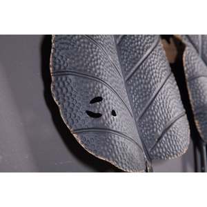 Arte de pared de hojas de calidad superior para habitación de invitados y decoración de sala de estar nuevo diseño minimalista arte colgante de pared de hierro hecho a mano - Product Image 2