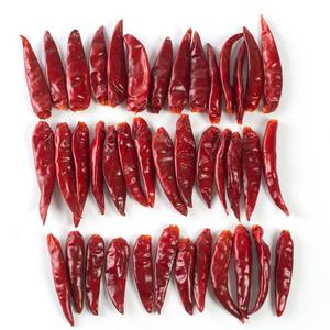 <b>Cheap</b> Price Variety Vietnamese Dried Red Chili Spicy Taste - Product Image 5