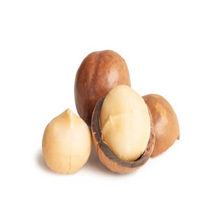 Meilleur prix 100% noix de macadamia biologiques en gros de haute qualité cru rôti délicieux aliments expédition rapide - Product Image 2