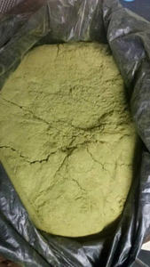 FABRICANTE DE VIETNAM SUMINISTRO SOURSOP HOJAS EN POLVO - Product Image 5