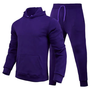 Vente en gros survêtement 2 pièces personnalisé jogging ensemble marque privée vierge jogging survêtement sweatshirts à capuche pour hommes Service OEM - Product Image 4