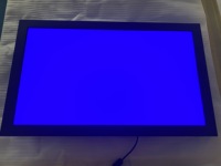 Monitor Industrial Táctil de 15.6 Pulgadas con Pantalla LCD Marina IP67 Resistente al Agua, Legible Bajo la Luz Solar, Compatible con Guantes, DVI, RS232
