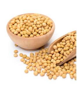 ถั่วเหลืองแบบพรีเมี่ยมสำหรับขาย - Product Image 4