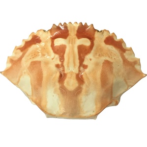 Grandes coquilles de crabe entières séchées 100% naturelles pour les restaurants de fruits de mer et de cuisine farcie - Product Image 2