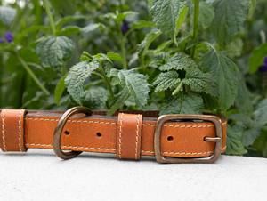 Collar De Perro De Cuero Clásico Artesanal Con Hebilla De Latón Y Anillo D - Product Image 3