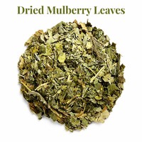 Feuilles de mûrier de qualité supérieure pour l'exportation, pour des thés et des boissons sains à base de plantes, vente en gros
