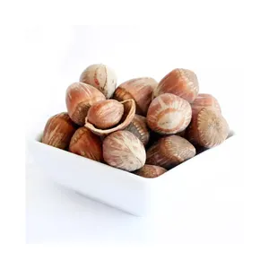 Premium Quality Blanched Sliced Hazelnut