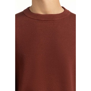 Pull en coton 100 % pour homme, coupe classique, fermeture éclair, motif logo imprimé, décoration rayée, pour le printemps et l'automne, MN-SWT-WS25-072 - Product Image 2