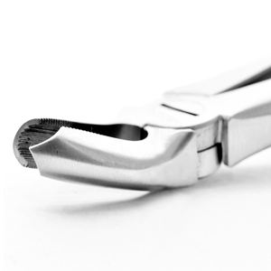 Instrumento quirúrgico Dental de calidad de exportación superior de Venta caliente Fórceps de extracción de dientes de acero inoxidable Fig. 18 Molares superiores izquierdos - Product Image 5