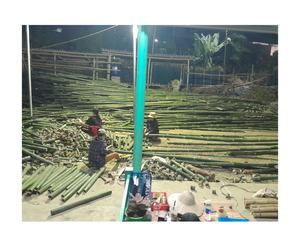 Demi poteau en bambou agriculture grande taille gros lamelle de bambou split moso attelle en bambou/bambou fendu vert/jaune - Product Image 4