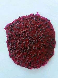 Usine de fabrication vietnamienne soutenant l'exportation en gros de fruits du dragon séchés avec une qualité uniforme contrôlée des fruits du dragon séchés - Product Image 4