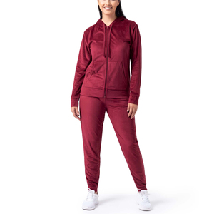 Traje de deporte de terciopelo 2025 con logotipo personalizado, chándal de algodón, chándal grueso y pesado, pantalones de chándal transpirables y conjuntos de Sudadera con capucha para mujer - Product Image 2