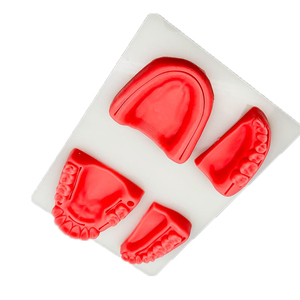 Almohadilla de sutura Dental humana profesional de calidad superior con dientes de resina, modelos de entrenamiento Dental, almohadilla Dental para práctica de sutura - Product Image 3