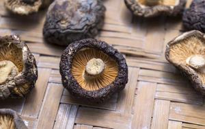 SETA natuaral shiitake orgánica de alta calidad, buena para su salud, seta negra China - Product Image 6