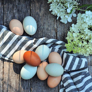 Wholesale Organic Farm Fresh Table <b>Eggs</b> High Quality Brown and White Chicken <b>Eggs</b> - Product Image 3