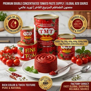 Pâte de tomate en conserve facile à ouvrir en gros 70g 210g 400g 800g 2200g 4500g <span class=keywords><strong>Ketchup</strong></span> tomate de haute qualité - Product Image 1
