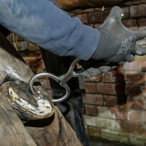 Testeur de sabot de cheval de logo personnalisé de bonne qualité pour la couleur de pied de chevaux dans les tailles de 18 20 24 - Product Image 2