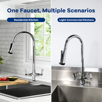 Robinet de cuisine extractible en laiton robuste avec douchette flexible, installation facile, pour cuisine commerciale - Promotion