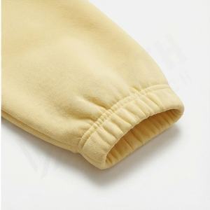 Ensemble de survêtement en molleton décontracté pour femmes, sweat à capuche à manches longues, pantalon de sport, ensemble de jogging d'hiver, vêtements de sport à capuche - Product Image 6