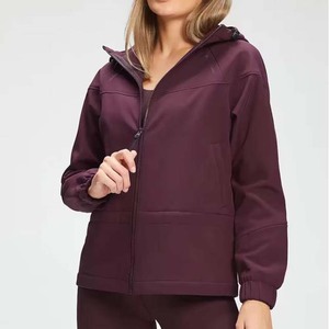 Sweats à capuche oversize pour femmes en molleton français personnalisé, coton de haute qualité, col rond - Product Image 1