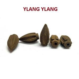 Best Selling Organic Ylang Ylang Bullet <b>Backflow</b> <b>Incense</b> <b>Cones</b> in India at Best Price ( Brown ) - Product Image 1