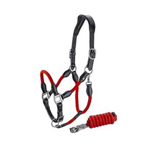 Licol de cheval renforcé, réglable, design robuste pour le contrôle, l'entraînement, l'utilisation en écurie et les soins équestres quotidiens - Product Image 1