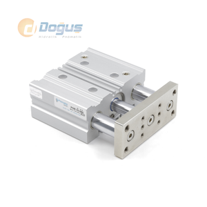 Cilindro Magnético de Doble Rodamiento Serie PGB 16, Piezas Neumáticas - Product Image 1