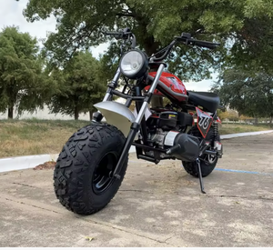 AUTOPARK AUTHENTIC 2025 Trailm_aster 200x Hurri _ Cane Mini Bike 200cc Motocicletas automáticas StreetBike Monkey Motocicletas - Product Image 3