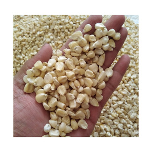 Maïs blanc en vrac, approvisionnement en stock frais et propre disponible pour l'exportation - Product Image 6