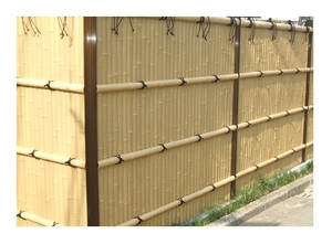 ¡Gran venta! Caña de bambú natural con buen precio de 99 Gold Data Vietnam-Materia prima de bambú Fox Export - Product Image 6