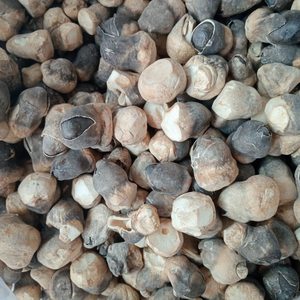 SETA DE PAJA DE ETIQUETA LIMPIA BONDAD A BASE DE PLANTAS SECADAS AL SOL - Product Image 6