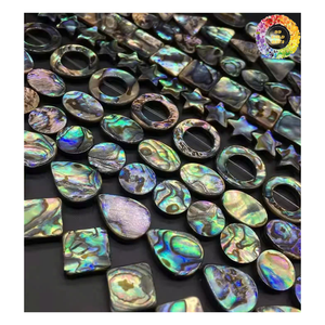 Concha de abulón natural redonda doble moneda plana rebanada cuentas de piedras preciosas colgante pequeño para la fabricación de joyas 10mm 14mm 15mm 18mm 20mm - Product Image 5